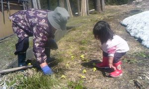 150409_1101~02.JPG