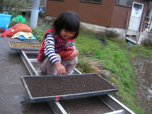 SANY0050.JPG