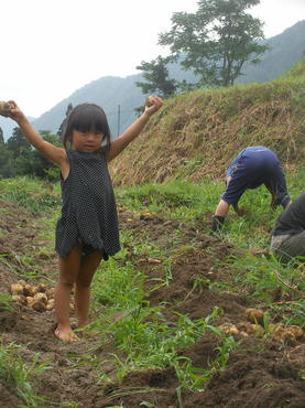 SANY0067.JPG