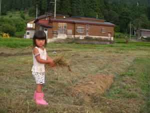 SANY0078.JPG