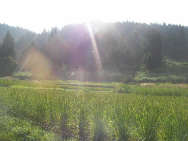 SANY0087.JPG