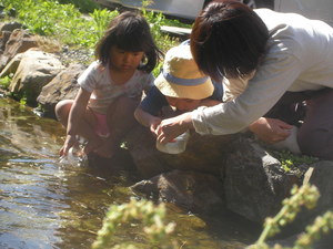 SANY0089.JPG