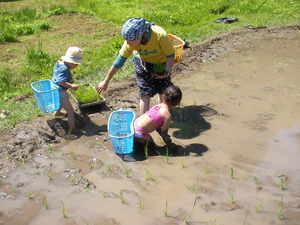 SANY0098 - Rs[.JPG