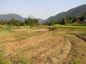 SANY0105.JPG