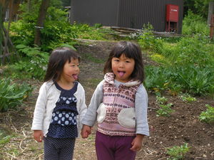 SANY0106.JPG